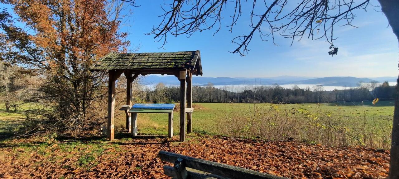 Berggasthof Schoen Patersdorf Экстерьер фото